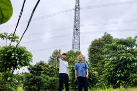 Trước 15-10 phải bàn giao mặt bằng dự án đường dây 220kV Pleiku 2 - Krông Buk mạch 2
