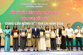 Kết nối cung cầu thúc đẩy tiêu thụ nông sản