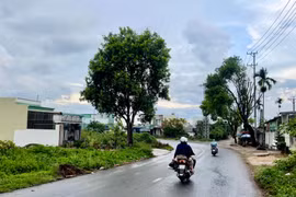Gia Lai: Phê duyệt dự án đường Trần Văn Bình với tổng mức đầu tư 100 tỷ đồng