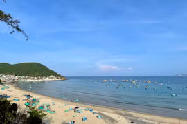 Chấp thuận chủ trương đầu tư dự án sinh thái, nghỉ dưỡng tại Phù Mỹ Đông