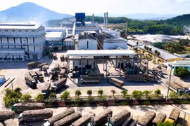 Gia Lai triển khai lộ trình pha chế, phối trộn và sử dụng xăng sinh học