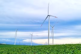 Trang trại Phong điện HBRE Chư Prông có công suất 50 MW, gồm 12 tua-bin gió. Ảnh: Vũ Thảo
