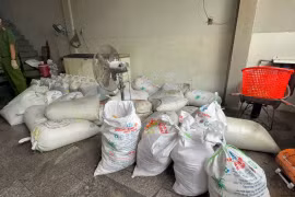 Phát hiện hơn 2 tấn mỡ, da động vật không rõ nguồn gốc tại phường Quy Nhơn.