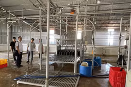 Kiểm tra về an toàn thực phẩm thuộc lĩnh vực chăn nuôi thú y.