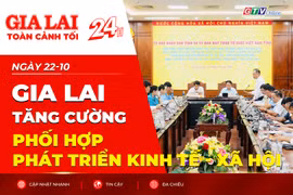 Toàn cảnh Gia Lai 24h: Tăng cường phối hợp phát triển kinh tế - xã hội