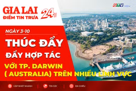 Điểm tin trưa: Gia Lai thúc đẩy hợp tác với TP. Darwin ( Australia) trên nhiều lĩnh vực