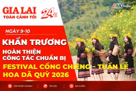 Toàn cảnh Gia Lai 24h: Khẩn trương hoàn thiện công tác chuẩn bị Festival Cồng chiêng - Tuần lễ Hoa Dã quỳ 2026