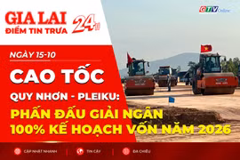 Điểm tin trưa: Cao tốc Quy Nhơn - Pleiku: Phấn đấu giải ngân 100% kế hoạch vốn năm 2026