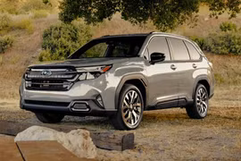 Subaru Forester hybrid sắp về Việt Nam, giá dự kiến 1,5 tỷ đồng