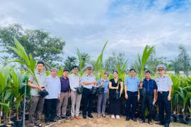 Gia Lai trao 11.100 cây dừa giống, tiếp sức “Xanh hóa Trường Sa”