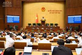 Bảo đảm tính nghiêm minh, nhân văn và khả thi của pháp luật