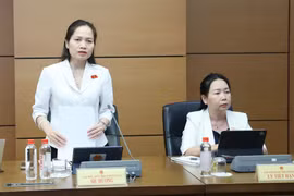 Hoàn thiện Luật Bảo vệ môi trường, bảo đảm tính khả thi từ thực tiễn