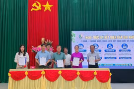 Đức Cơ xây dựng chuỗi liên kết sản xuất, tiêu thụ sầu riêng