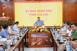 Khẩn trương bàn giao mặt bằng sạch thi công Dự án đường bộ cao tốc Quy Nhơn - Pleiku
