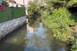 “Điểm đen” ô nhiễm ở phường Bình Định đã được xử lý