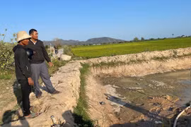 Ruộng chịu khát dù bên công trình thủy lợi