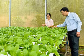Đồng hành cùng nông dân phát triển bền vững