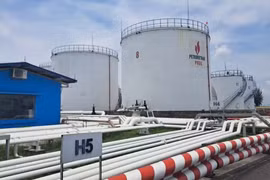 Xăng E10: Việt Nam có thể chi tỷ USD nhập ethanol mỗi năm
