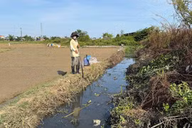 Dân khốn khổ vì mương nước thải ô nhiễm