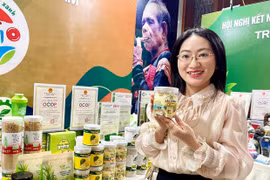 Kết nối cung cầu đưa nông sản vào chuỗi cung ứng hiện đại