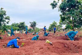 Xanh hóa chốt dân quân biên giới Ia Nan