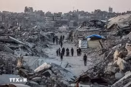 ĐSQ Việt Nam tại Israel triển khai bảo hộ công dân liên quan đội tàu tới Gaza