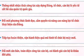 Trọng tâm công tác xây dựng Đảng, công tác tổ chức, cán bộ