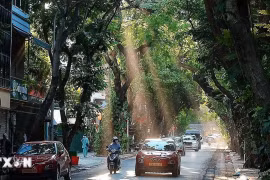 Thời tiết ngày 1/6: Bắc Bộ nắng nóng gay gắt, Nam Bộ và Tây Nguyên mưa dông