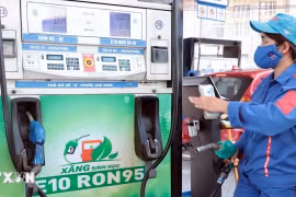 Thí điểm một số chính sách trong triển khai lộ trình sử dụng xăng E10