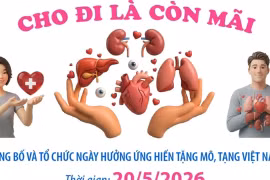 Ngày Hiến mô, tạng Việt Nam 20/5: Cho đi là còn mãi