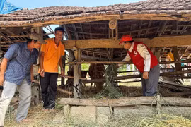 Tập trung nguồn lực triển khai Tháng Nhân đạo năm 2026