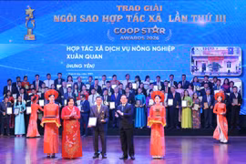 Ấm áp những “Ngôi sao hợp tác xã”