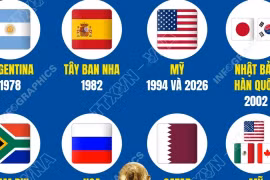 Những quốc gia nào đã từng đăng cai World Cup?