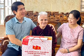 Phó Bí thư Tỉnh ủy Nguyễn Ngọc Lương thăm, tặng quà Mẹ Việt Nam Anh hùng và gia đình chính sách tại phường Pleiku.