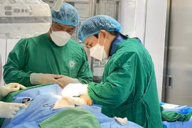 Nâng cao năng lực điều trị tim mạch can thiệp ngay tại tuyến tỉnh.