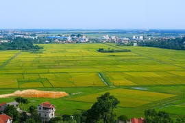 Triển khai cơ chế, chính sách đặc thù để xử lý vi phạm pháp luật về đất đai trước năm 2024.