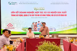 Thúc đẩy liên kết đa bên trong xây dựng, quản lý và duy trì mã số vùng trồng, mã số cơ sở đóng gói
