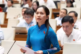 Quốc hội thảo luận về dự án Bộ luật Hình sự (sửa đổi).