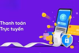 Gia Lai: Chấn chỉnh tình trạng hồ sơ quá hạn, trễ hạn, chưa số hóa hồ sơ.