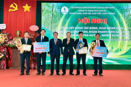 Doanh thu của 4 công ty cao su trên địa bàn Gia Lai đạt 1.623 tỷ đồng