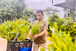 Sửa Luật Sở hữu trí tuệ: Dự kiến cắt giảm 5 điều kiện kinh doanh, giảm thủ tục cho doanh nghiệp