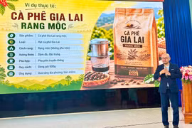 Tập huấn kỹ năng bán hàng online cho hơn 100 hộ kinh doanh tại phường Thống Nhất.