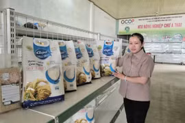 Gia Lai: Hoàn thành xây dựng cơ sở dữ liệu về hợp tác xã trước ngày 16-11-2026