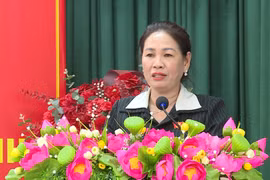 Phó Chủ tịch HĐND tỉnh Huỳnh Thúy Vân ghi nhận, giải trình các ý kiến của cử tri thuộc thẩm quyền. 