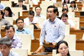 Cần có chính sách phát triển đội ngũ chuyên gia văn hóa.