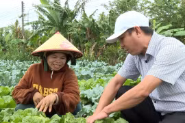 Cán bộ Phòng Kinh tế xã Vĩnh Sơn tham quan mô hình trồng rau ôn đới của chị Đinh Thị Boi (làng K3, xã Vĩnh Sơn). Ảnh: Đ.T