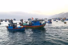 Quyết liệt triển khai nghị định mới để chống khai thác IUU