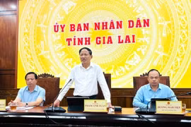 Chủ tịch UBND tỉnh Phạm Anh Tuấn phát biểu tại cuộc họp. Ảnh: Hồng Thương