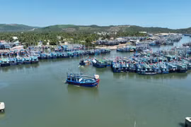 Đề nghị phối hợp xử lý thuyền trưởng tàu cá ở Hoài Nhơn Đông chây ỳ nộp phạt vi phạm