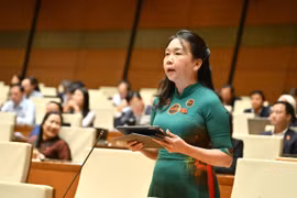 Phó Trưởng đoàn ĐBQH tỉnh Gia Lai Lý Tiết Hạnh cho rằng cần xác định rõ định hướng, nguyên tắc chung trong phương án ngân sách năm 2026.
